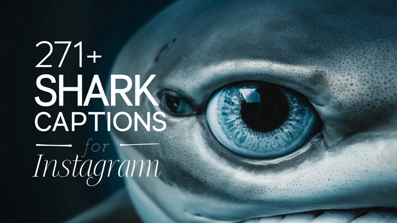 Shark Captions for Instagram