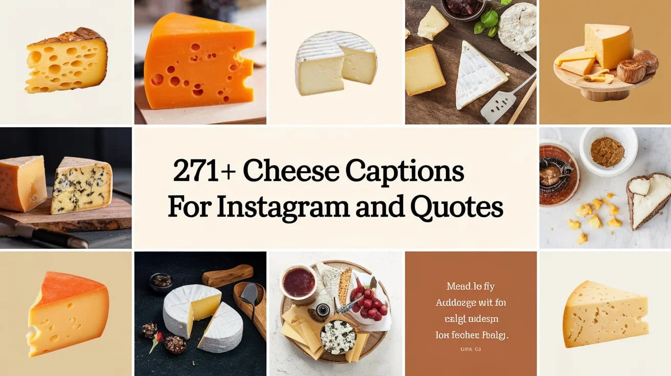 Cheese Captions for Instagram And Quotes